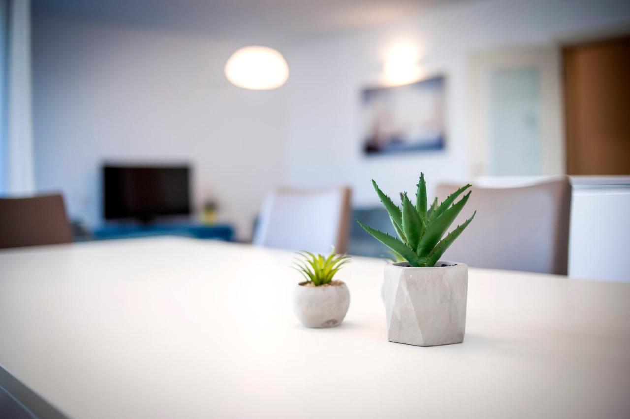 Sunny Day - Apartment With Parking Rovigno Esterno foto